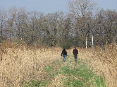 IMG_0944 (Medium).JPG