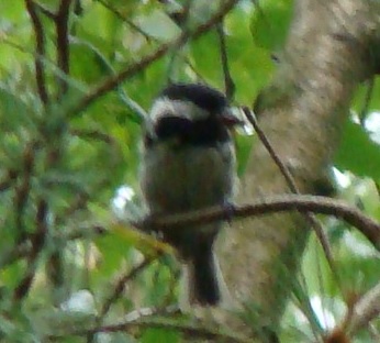 morze09 043.JPG