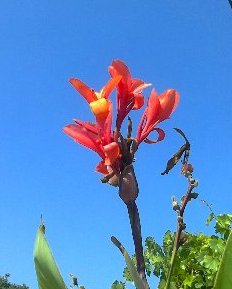 Ponieważ załącznik otwiera się dopiero po napisaniu czegoś w wątku dla ułatwienia przeglądania wklejam zdjęcie przez hosting.