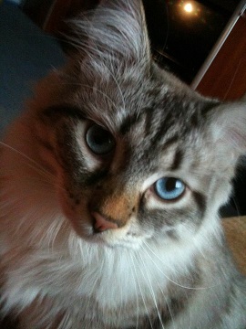 IMG_0127 - Kopia.JPG