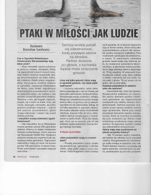 Ptaki-Przegląd 1.jpg