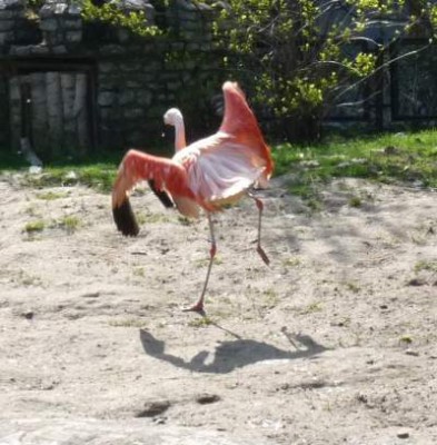 zdarzają się pijane.jpg