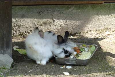 ty jedz ja będę pilnował.JPG