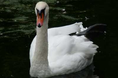 ćwiczenia z rana.JPG